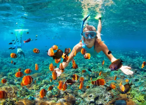 Intro Diving & Snorkeling Tour with Lunch & Drinks