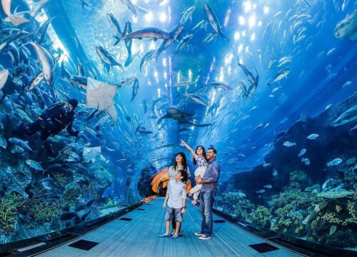 Hurghada Grand Aquarium