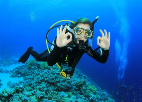 Scuba Diving