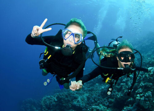 Orange Bay Island & diving