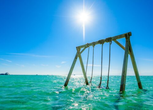 Luxury cruise to Orange bay with Lunch