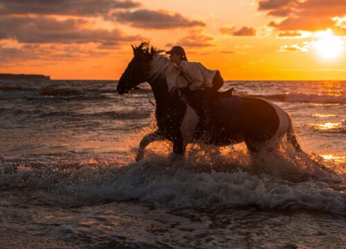 Horse riding with beach & Swimming