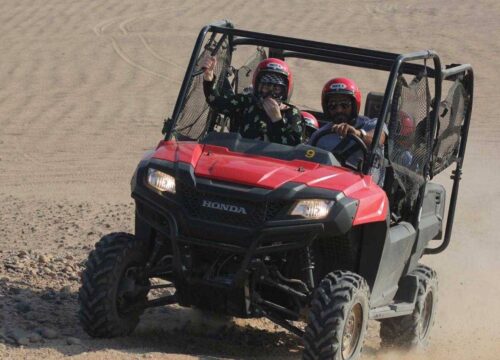 Private Family buggy safari