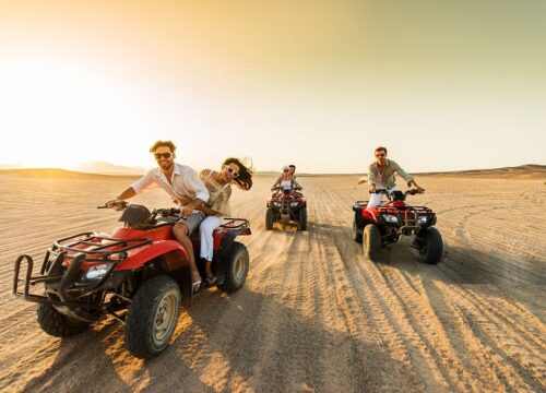 Morning Quad Bike Safari