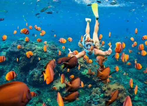 Ras Mohamed Snorkeling Tour