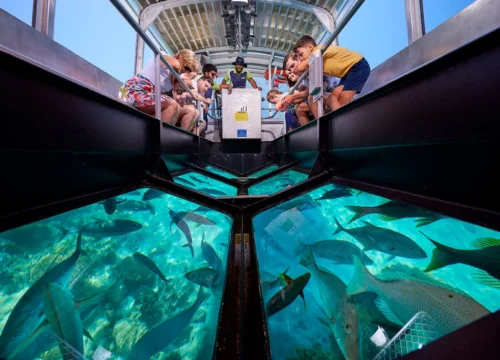 Sharm Glass Boat Tour