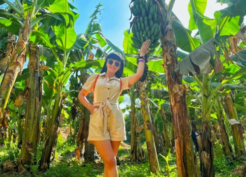 Luxor from Marsa Alam + Banana Island